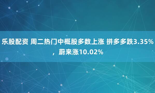 乐股配资 周二热门中概股多数上涨 拼多多跌3.35%，蔚来涨10.02%