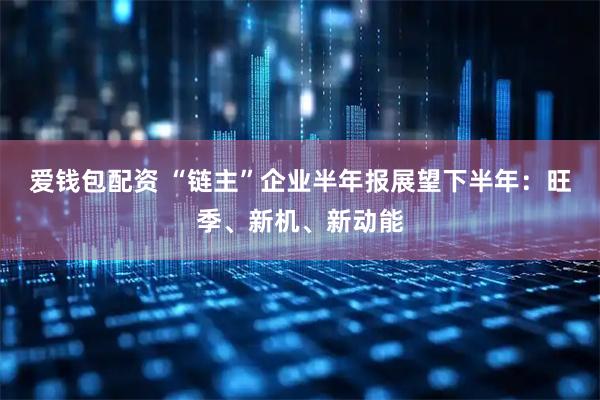 爱钱包配资 “链主”企业半年报展望下半年：旺季、新机、新动能