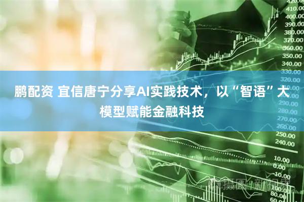 鹏配资 宜信唐宁分享AI实践技术，以“智语”大模型赋能金融科技